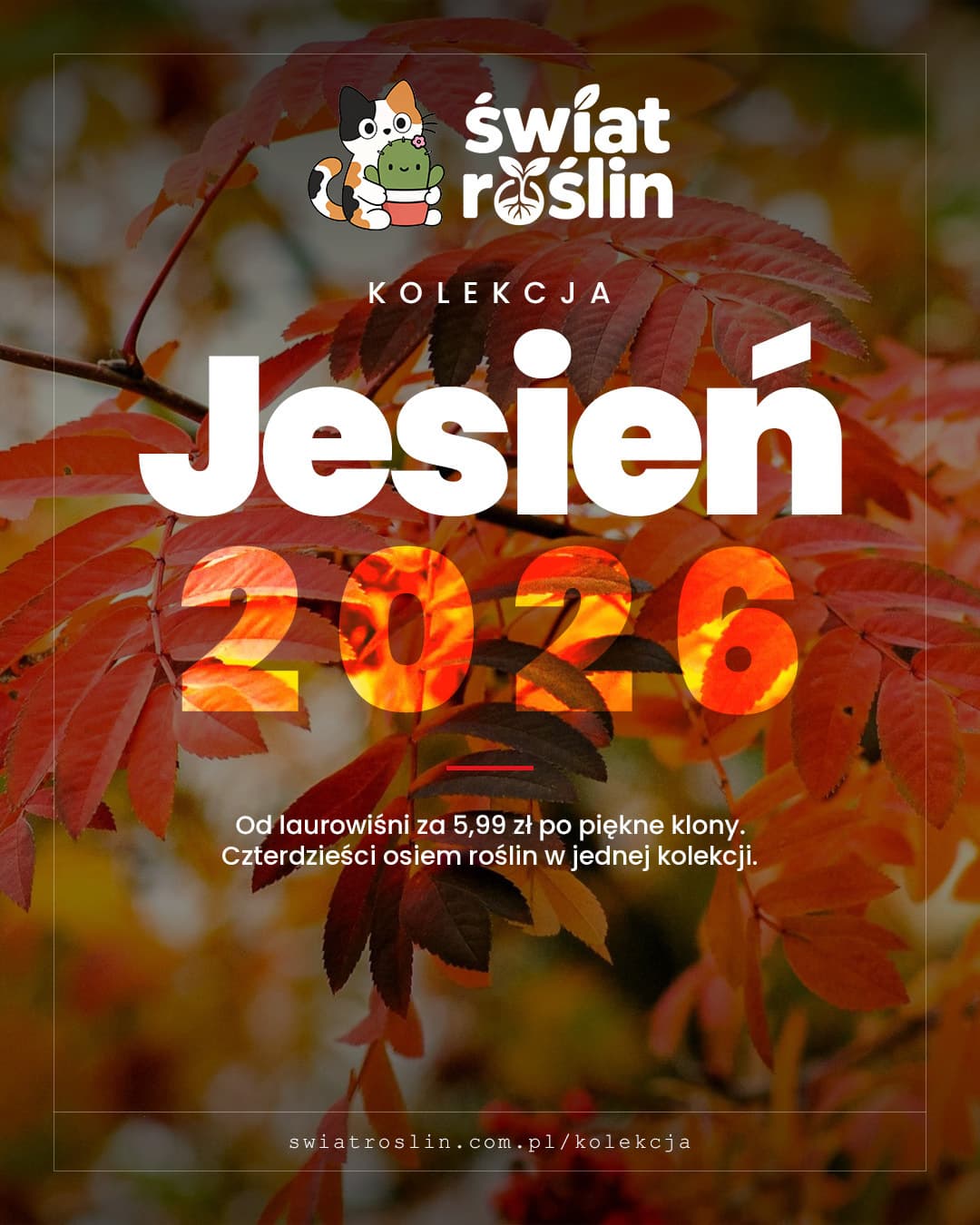 Kolekcja Jesień 2026 Świat Roślin