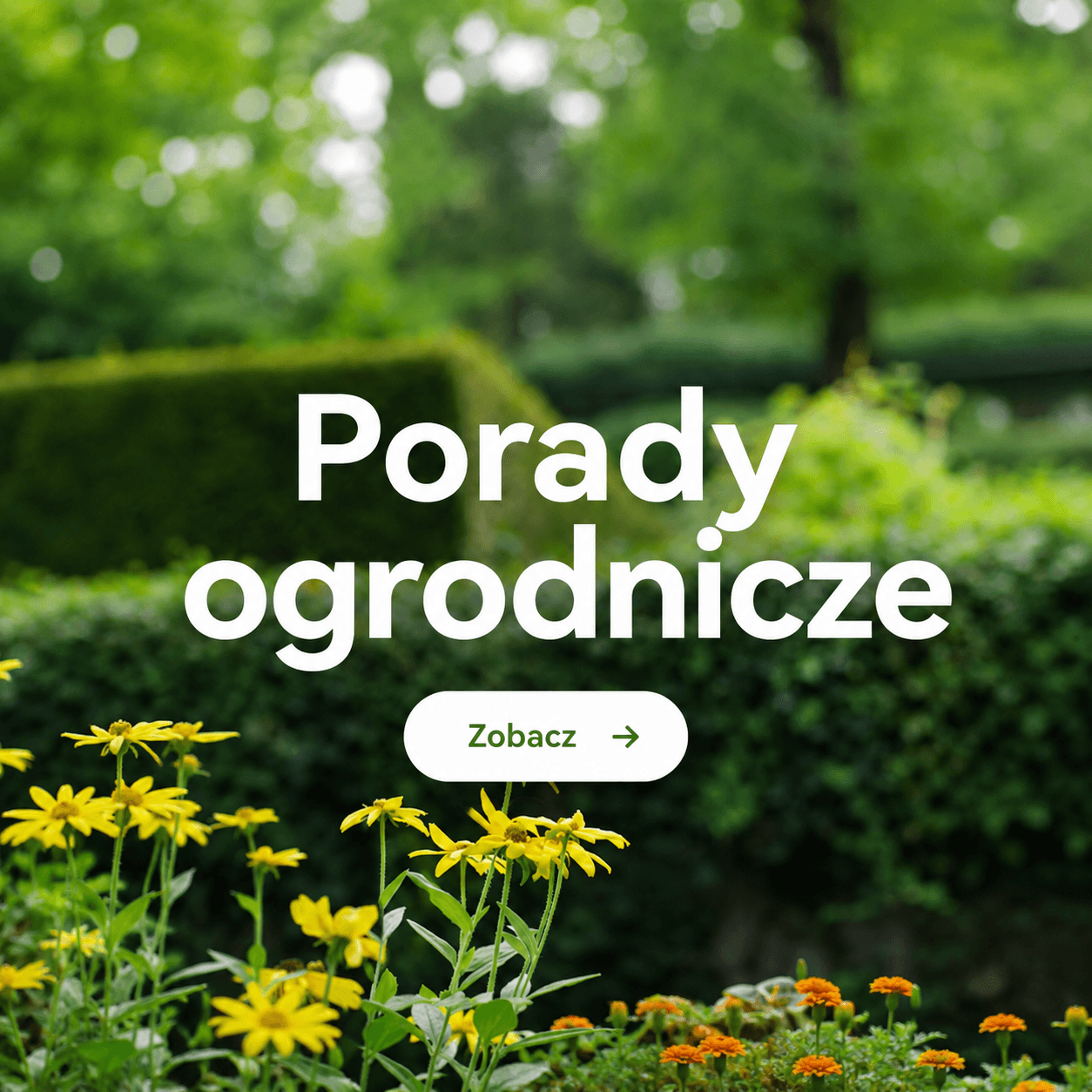 Artykuły i poradniki ogrodnicze - Porady dla twojego ogrodu!