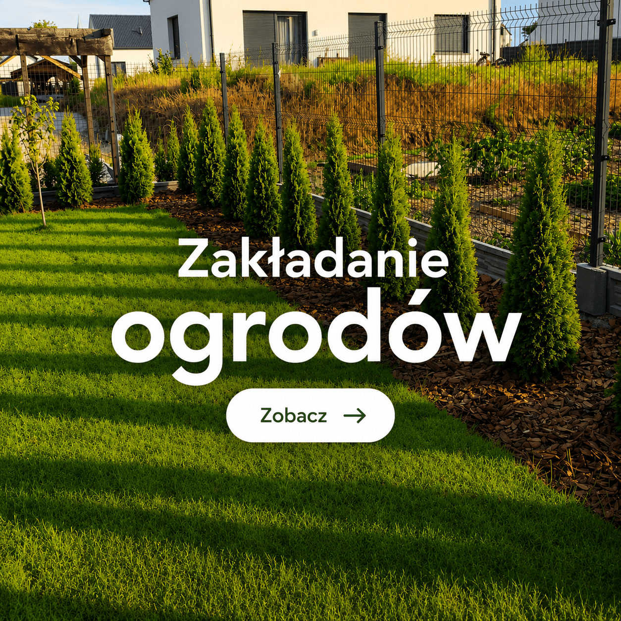 Promocje na rośliny i akcesoria